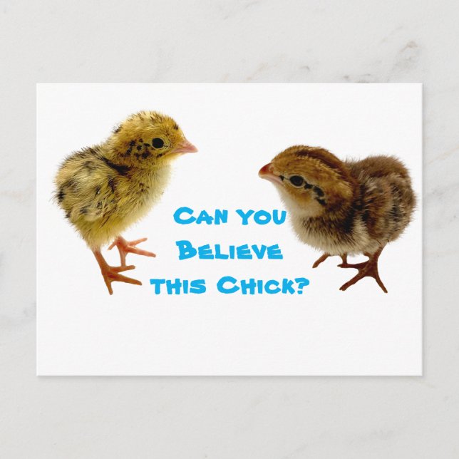 Postal Baby Quail Chick (Anverso)