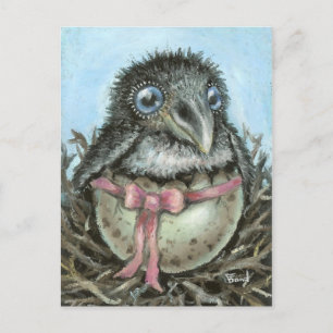 Postal Baby Raven
