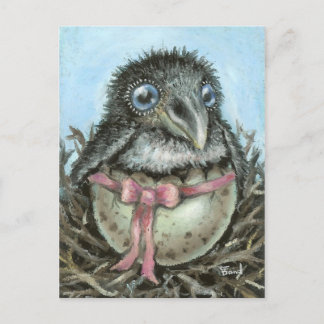 Postal Baby Raven