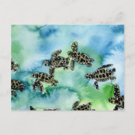 Postal baby sea turtles reptile animal wildlife painting