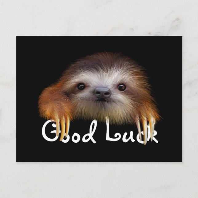 Postal Baby Sloth Good Luck Post Card (Anverso)