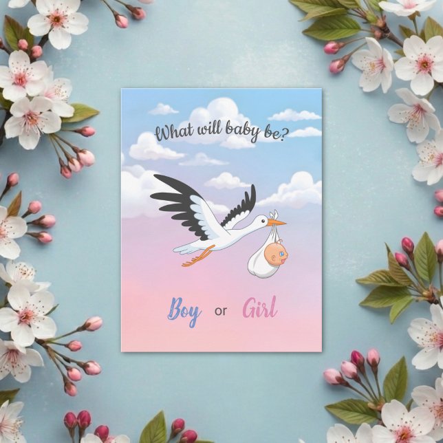 Postal Baby Stork Clouds Gender Reveal Party Invitation 2 (Subido por el creador)