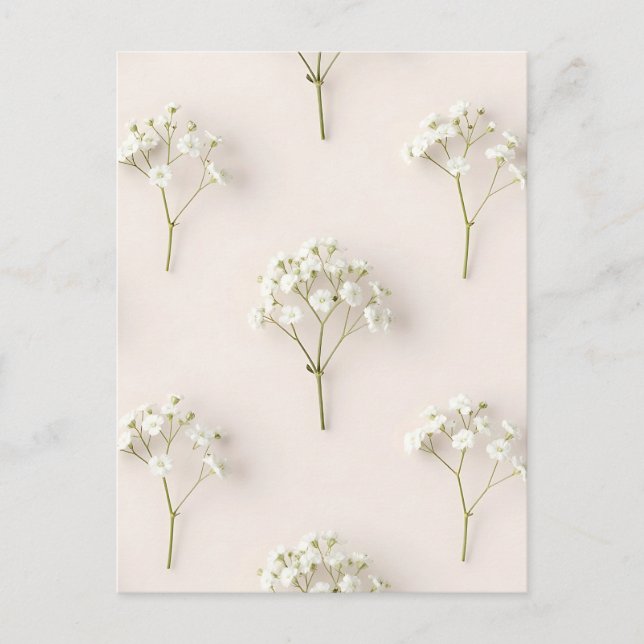 Postal Baby's Breath Delicate Neutral Pattern (Anverso)