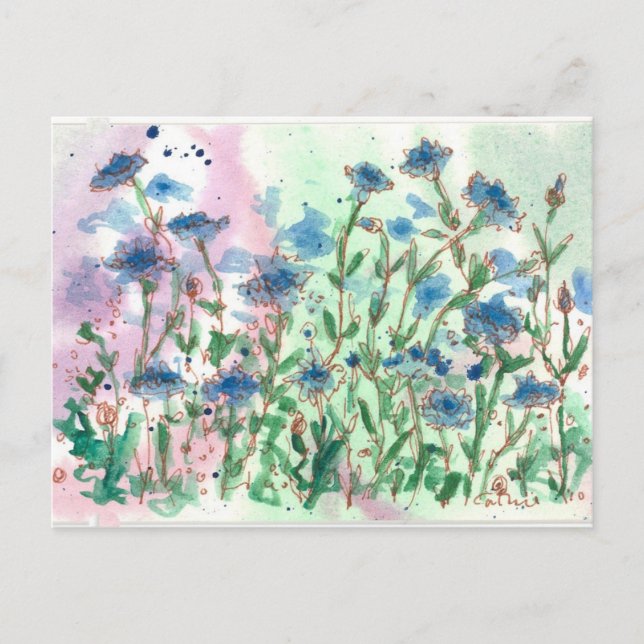 Postal Bachelor Button Wildflower Meadow (Anverso)