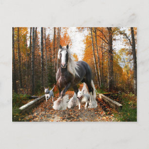 Postal "Backroads Ramble"