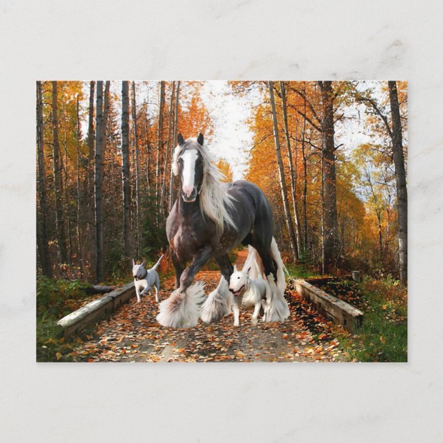 Postal "Backroads Ramble" (Anverso)