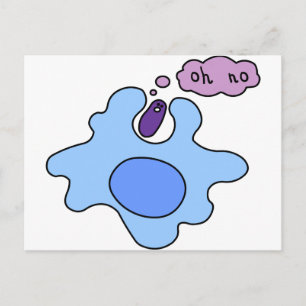 Postal Bacterias Phagocitosis