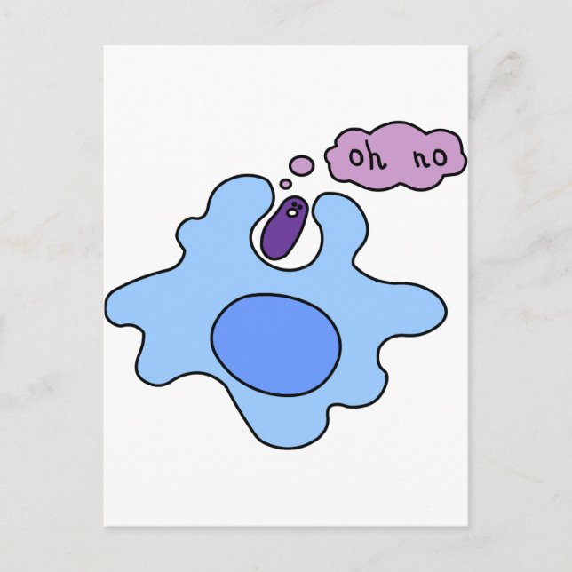 Postal Bacterias Phagocitosis (Anverso)