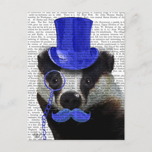 Postal Badger con sombrero azul superior y bigote (Anverso)