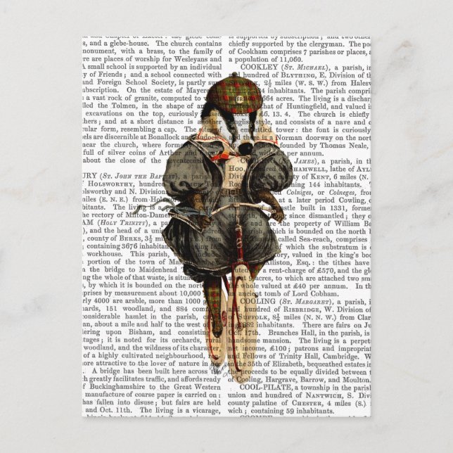 Postal Badger on Vintage Bicycle (Anverso)