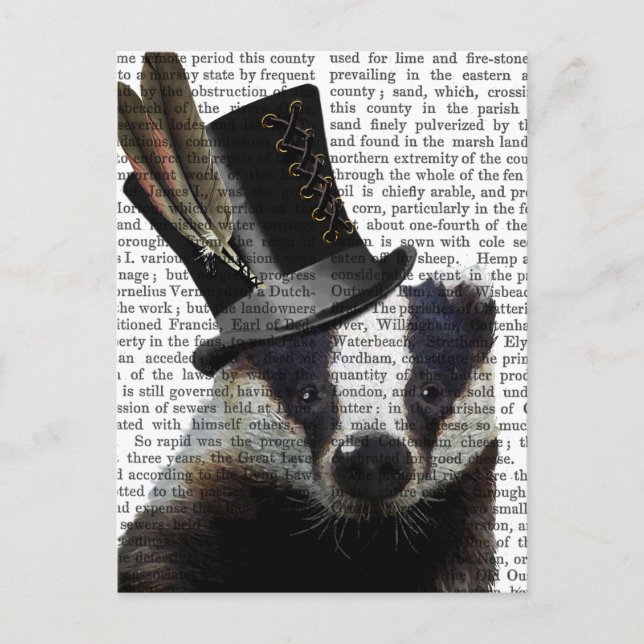 Postal Badger Steampunk en sombrero superior (Anverso)