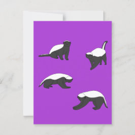 Postal Badgers de miel