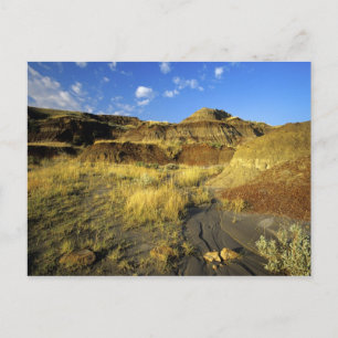 Postal Badlands en el Parque Provincial Dinosaurio en Alb