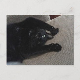 Postal Bagheera el gato negro