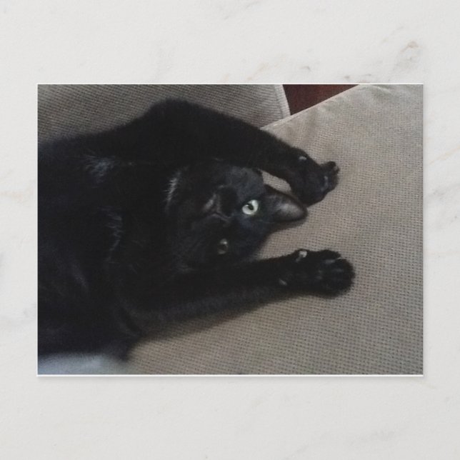 Postal Bagheera el gato negro (Anverso)