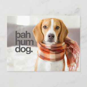 Postal "Bah Hum Dog" Beagle