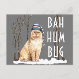 Postal Bah Humbug Navidades gatos graciosos