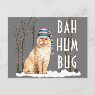Postal Bah Humbug Navidades gatos graciosos