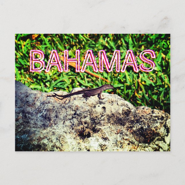 Postal Bahamas Lizard (Anverso)