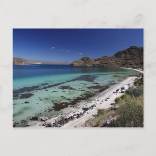 Postal Bahía Baja Concepción