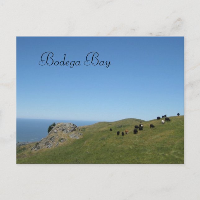 Postal Bahía de Bodega, Ca, (Anverso)