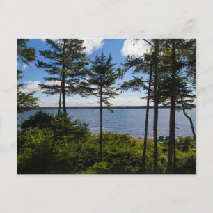 Postal Bahía de Gouldsboro, Maine en verano