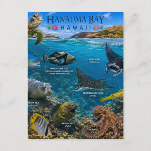 Postal Bahía de Hanauma Hawái