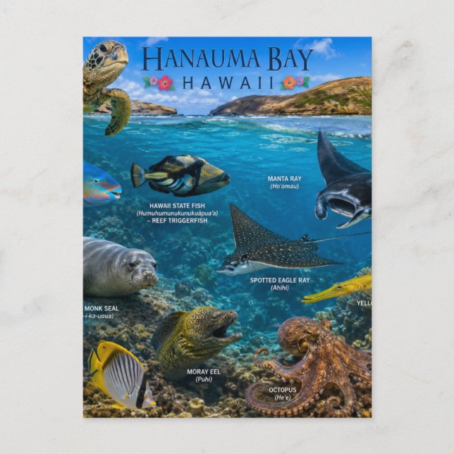 Postal Bahía de Hanauma Hawái (Anverso)