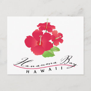 Postal Bahía de Hanauma Hawaii - Flor de Hibisco Rojo
