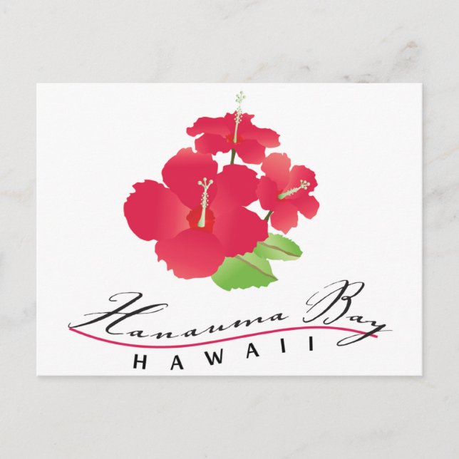 Postal Bahía de Hanauma Hawaii - Flor de Hibisco Rojo (Anverso)