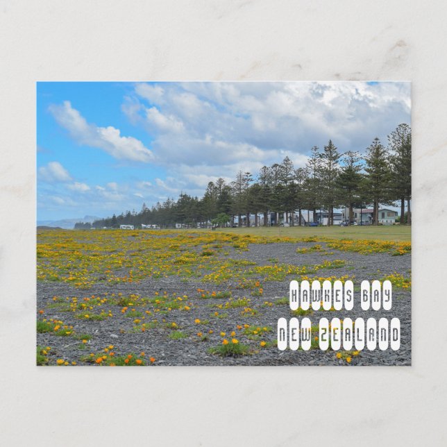Postal Bahía de Hawkes en Nueva Zelanda (Anverso)