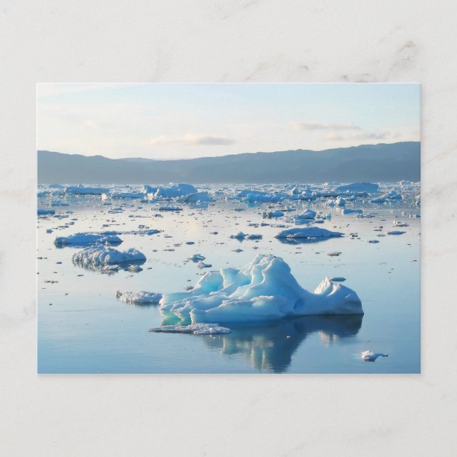 Postal Bahía de Iceberg (Anverso)