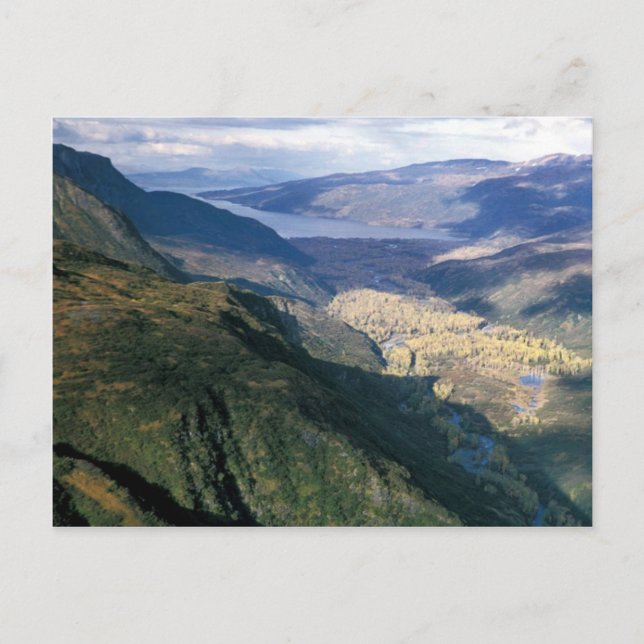 Postal Bahía de Kizhuyak, Kodiak (Anverso)