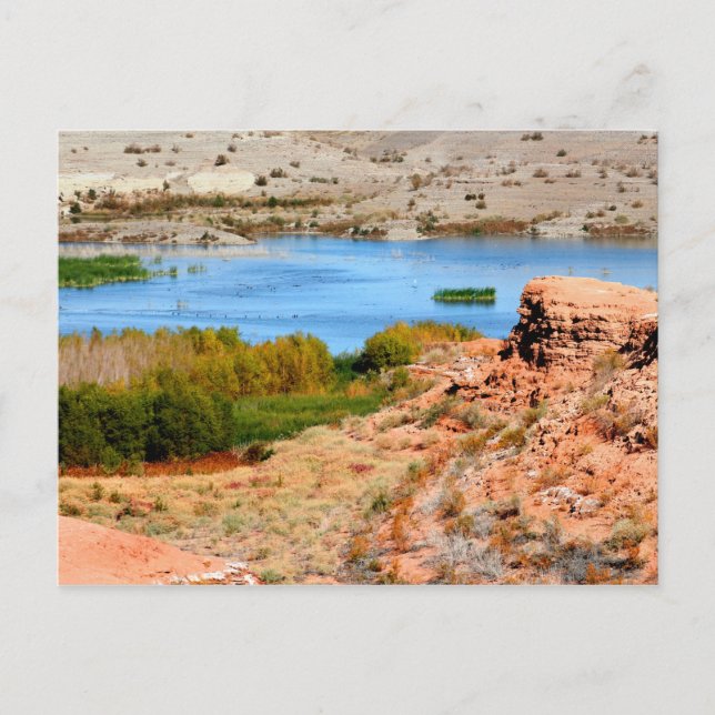 Postal Bahía de Las Vegas, Lago Mead, Nevada (Anverso)