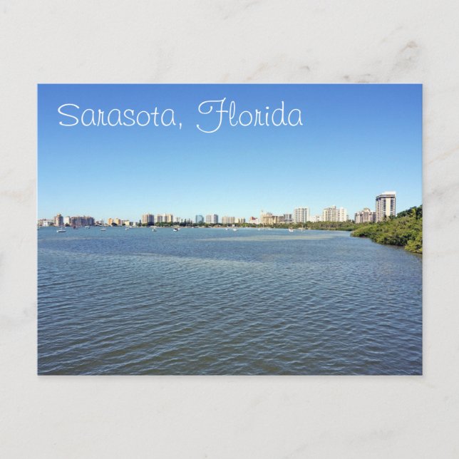 Postal Bahía de Sarasota (Anverso)