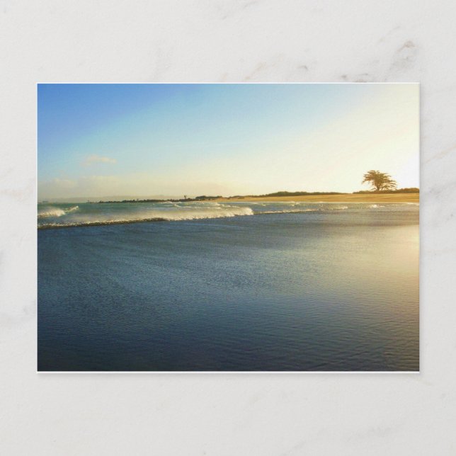 Postal Bahía Humboldt, Eureka, Ca. (Anverso)