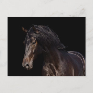 Postal Bahía oscura