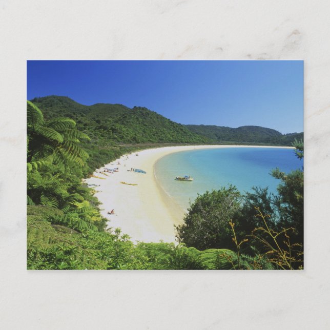 Postal Bahía Tonga, Abel Tasman NP, Isla Sur, Nueva (Anverso)