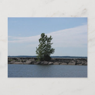 Postal Bahía Westcott