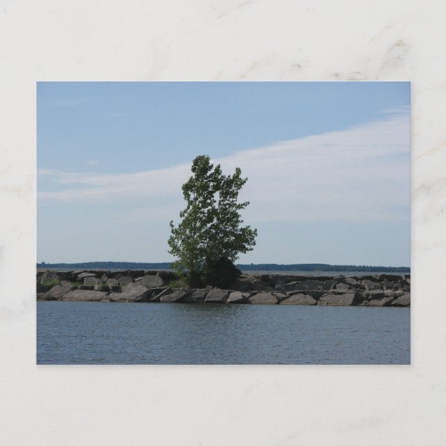 Postal Bahía Westcott (Anverso)