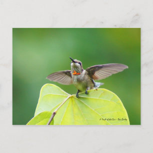 Postal ¡Bailando y cantando!