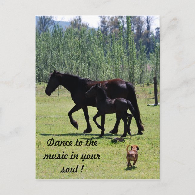 Postal Bailar con la música en tu alma (Anverso)