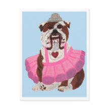 Bailarina Bulldog