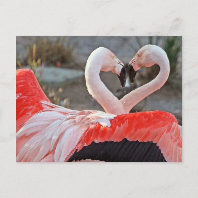 Postal Baile de amor (Anverso)