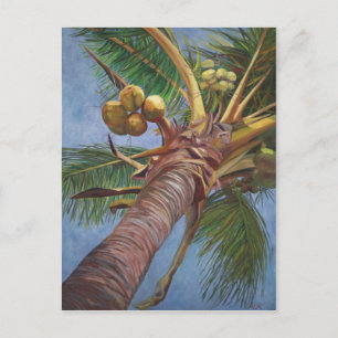 Postal Bajo el árbol de coco