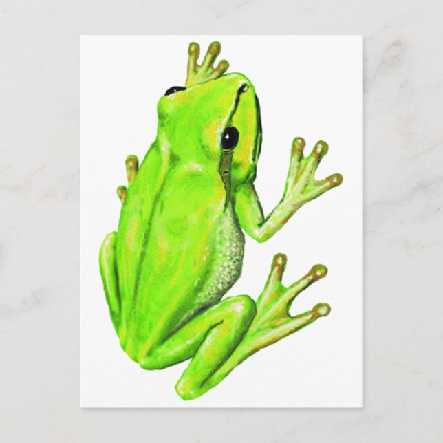 POSTAL BAJO LA HOJA (Anverso)