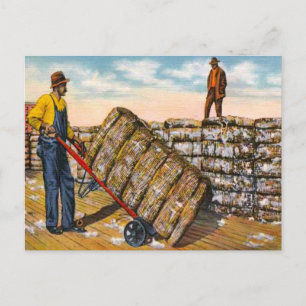 Postal Balas de algodón en el sur profundo de los años 19