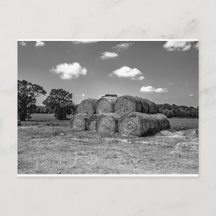 Postal Balas de heno en el campo norfolk