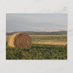 Postal Balas de heno en un campo con las montañas en la