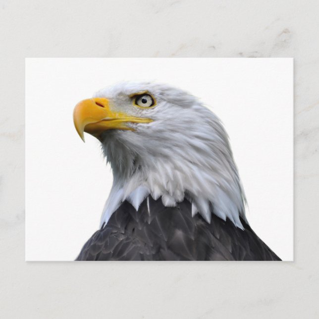 Postal Bald Eagle (Anverso)